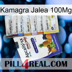 Kamagra Jelly 100Mg 11